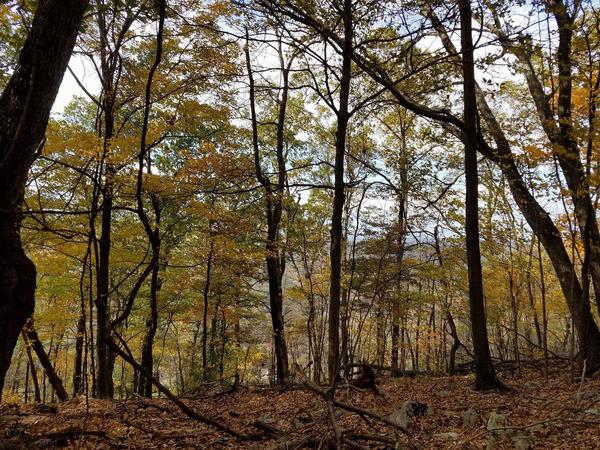 20161030 Sunday trail view