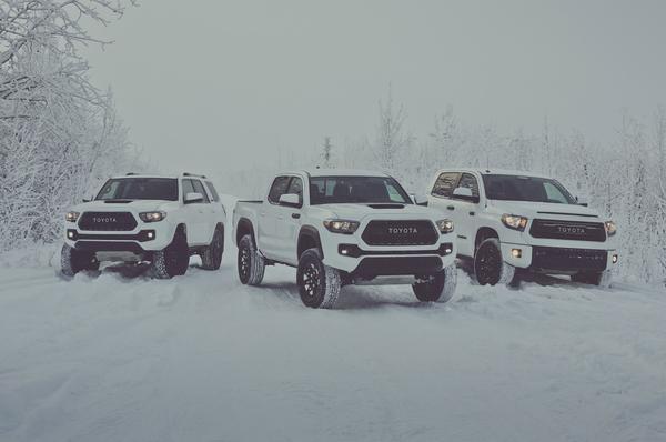 2017 Toyota Group Photo