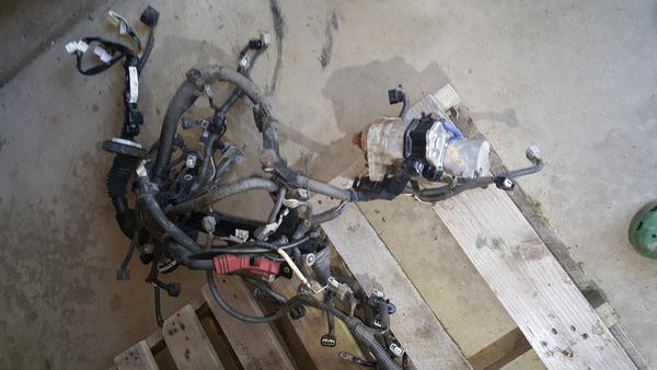 2UZFE Engine wire set with starter
