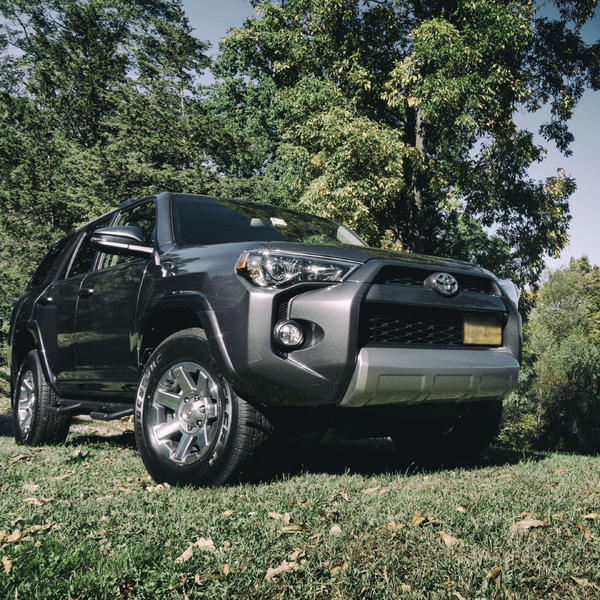 4 RUNNER Grass A 1 1Crop