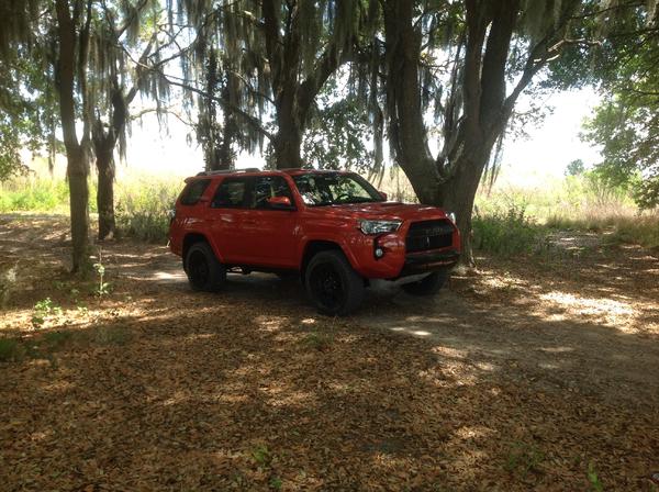 4runner getting some sahde