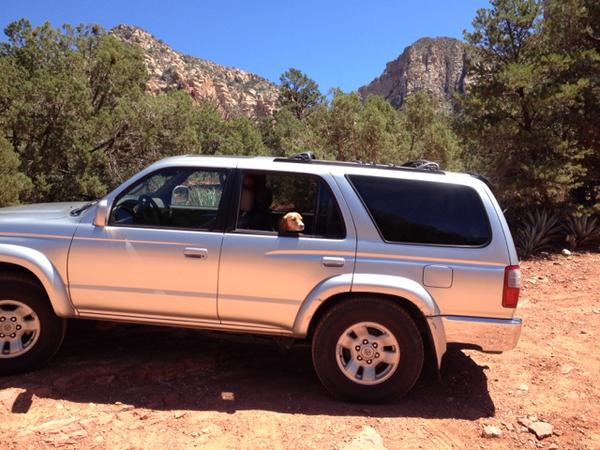 4runner mango
