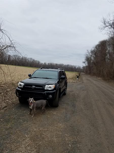 4Runner Meadows 04 15 2018