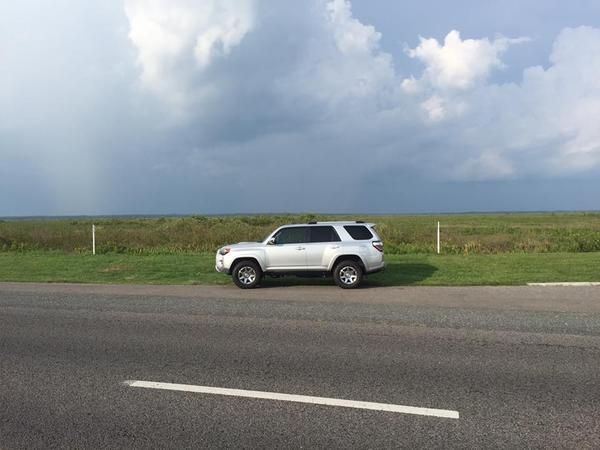 4runner Paynes Prairie