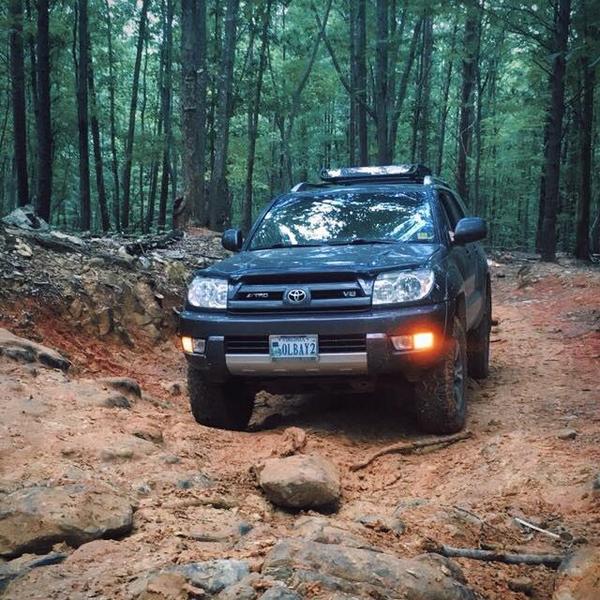 4Runner spotted in its natural habitat.