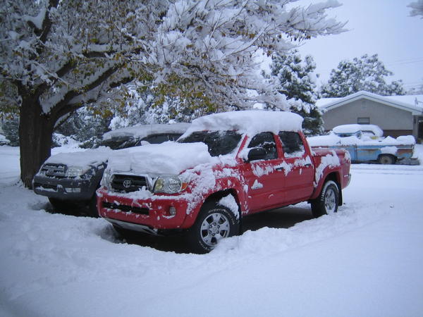 4Runner & Taco Covered with Powda