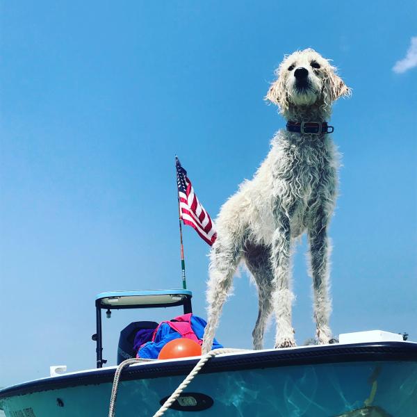 4th of July