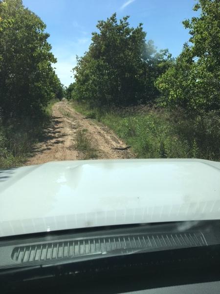 5 7 17first dirt