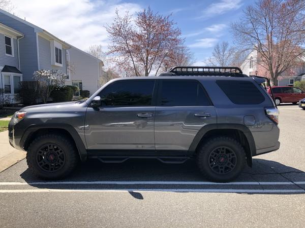 5% tint all around w windshield strip.