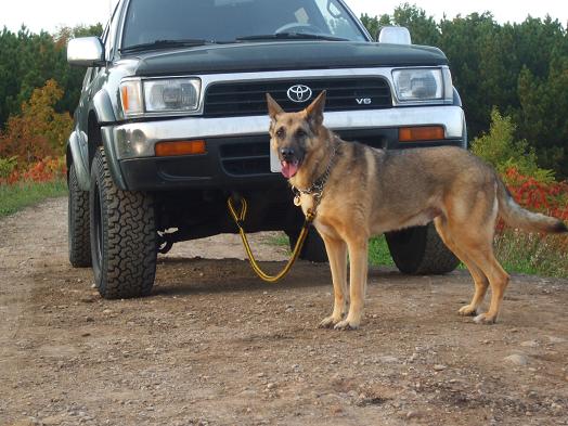 92 medalist 4runner + my dog