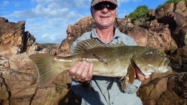 A barred coastal Coral Trout caught (and released) on my last hiking trip to Hinchinbrook.
