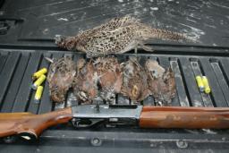 A GOOD DAY IN THE WOODS