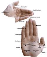 A "handy" way to show someone where you live when you don't have a map on "hand". Pun intended!

Retrieved from Google Images 6/21/2012.