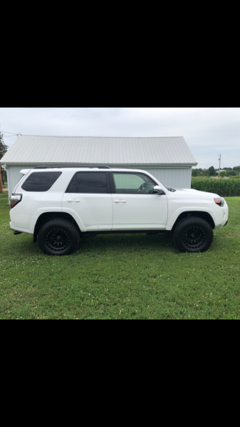 AC2E531D 94FC 4128 8E2C 2D6D2F9056A8