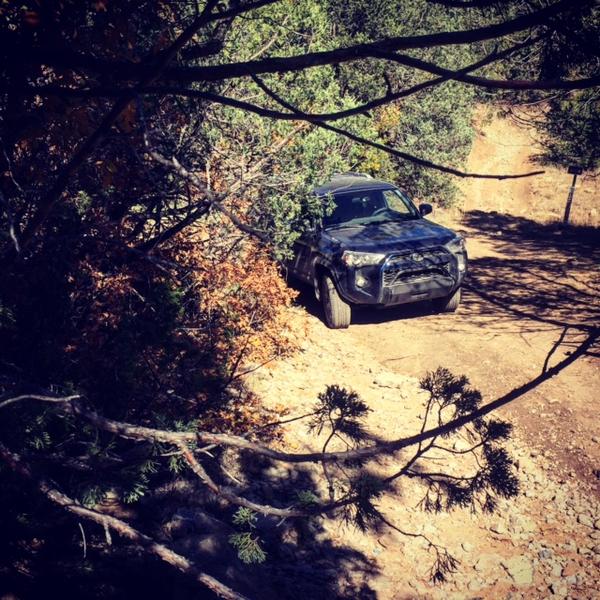 Adventure lurking around every corner.