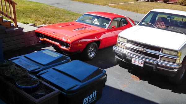 After paint