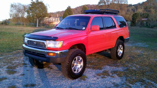 All shinned up