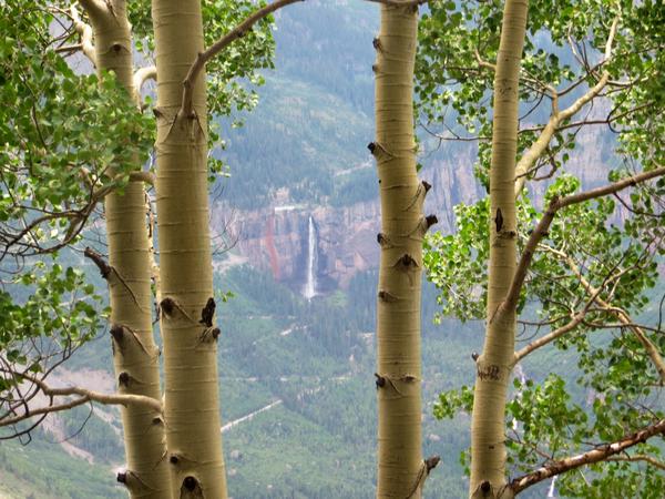 Almost to Telluride.