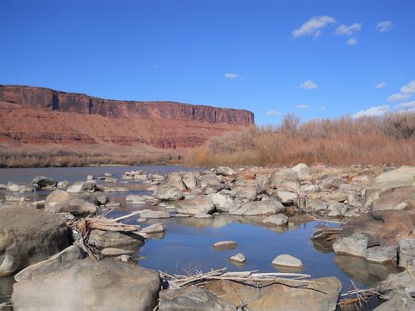 Along the banks of the Colorado River.