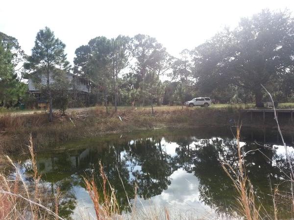 And who says there isn't beauty in Florida?