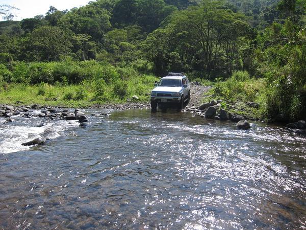 Another Crossing in Costa Rica