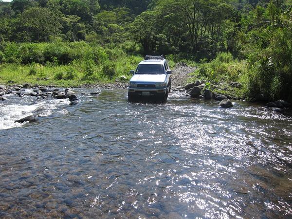 Another Crossing in Costa Rica
