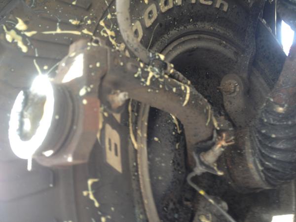 Another faulty UBJ, Upper Ball joint was dead