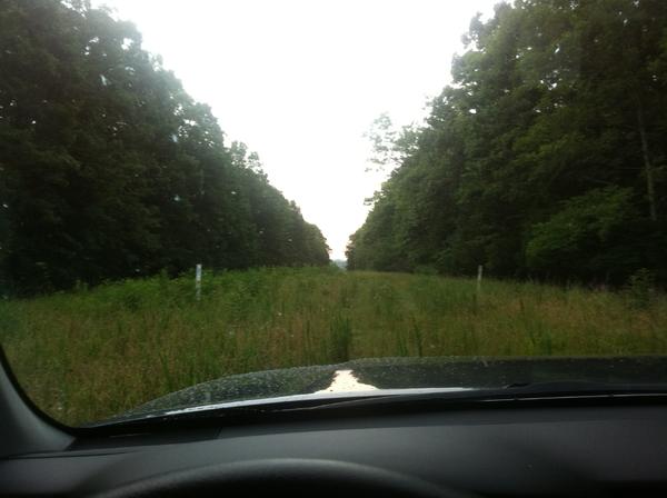 Another Nova trail.