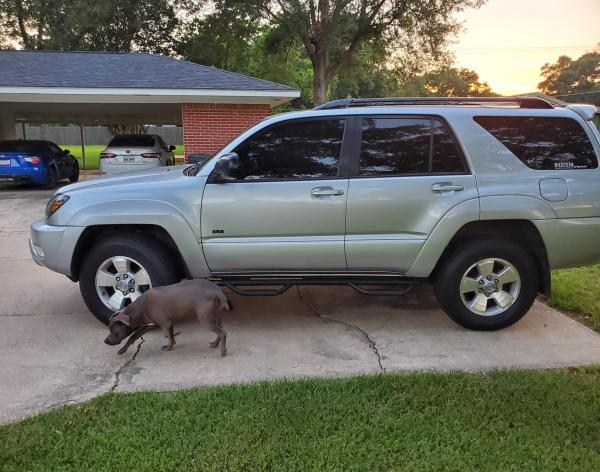 Another side view after removing running boards and added my nerf bars. Bonus Bleu dog decided she wanted to photo bombed me.