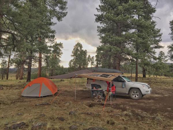 Apache National Forest campsite Jul 2017