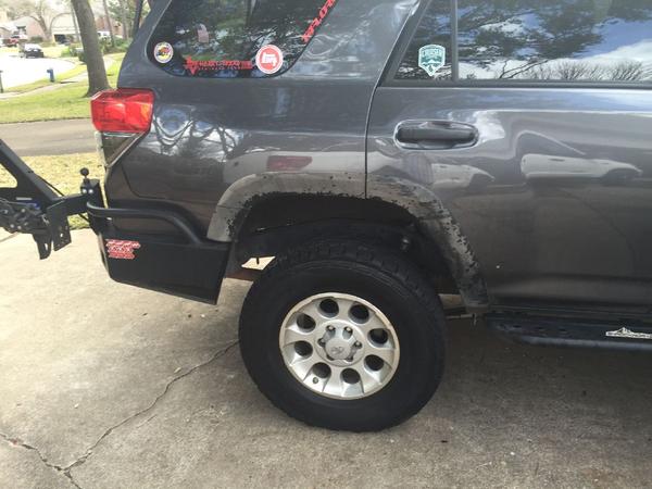 Ass Fender