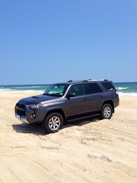 Assateague Island