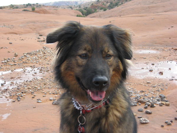 Athena Chow-Shepherd DOB July 2004