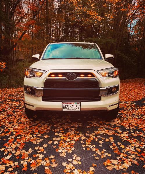 Autumn colors