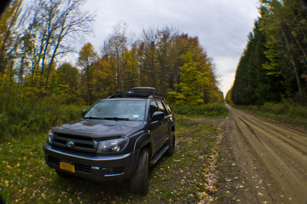 Autumn Drive