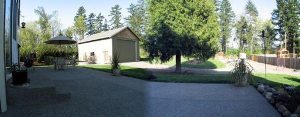 Backyard Panoramic web