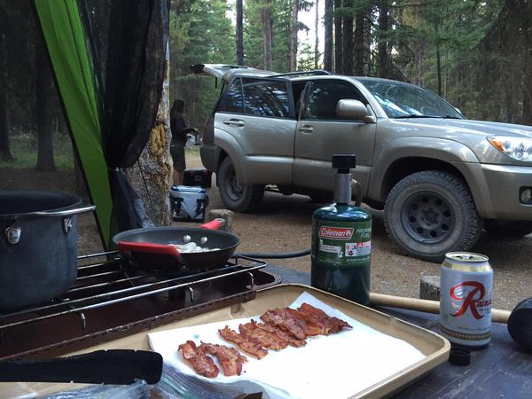 Bacon