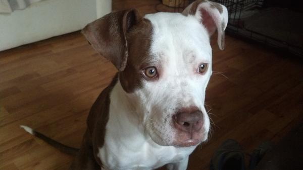 Bailey