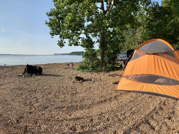 Beach campsite, LBL