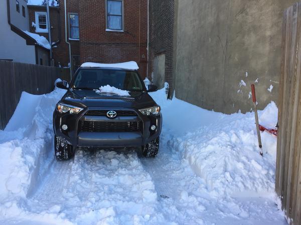 Beast in snow