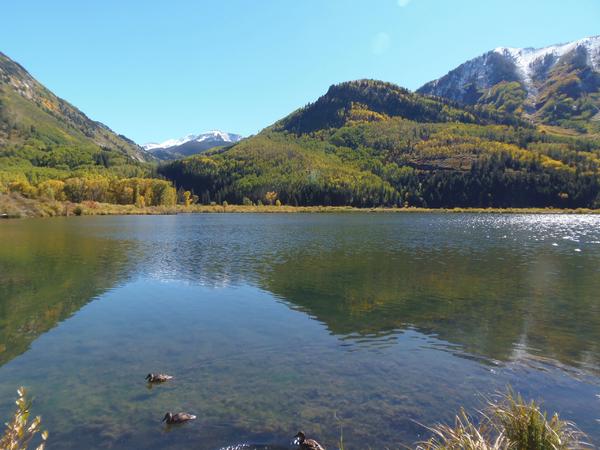 Beaver Lake