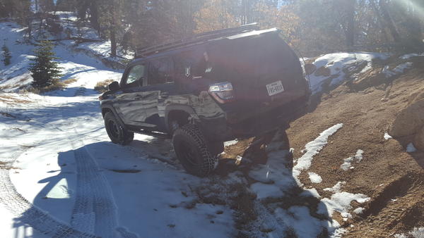 BigBear