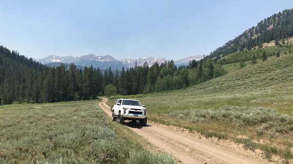 Bike Trip in Teton National Forest