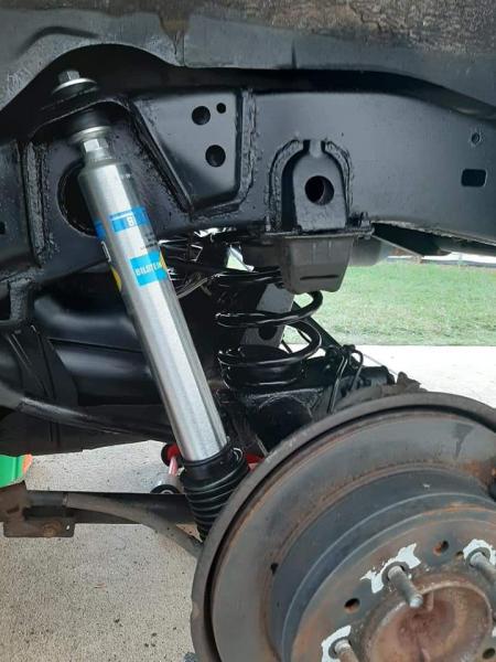 Bilstein rear struts and springs