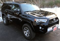 Black Beauty SM