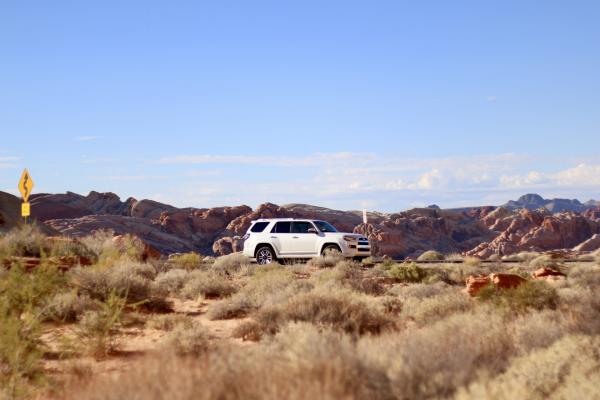Blizzard At Valley Of Fire
