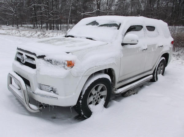 Blizzard White
