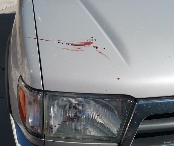 blood spatter