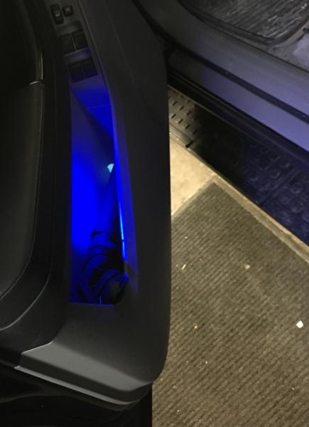 blue 194 LED bulb in door light.
