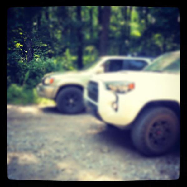 Blue Ridge WMA, GA. Parked on the AT.